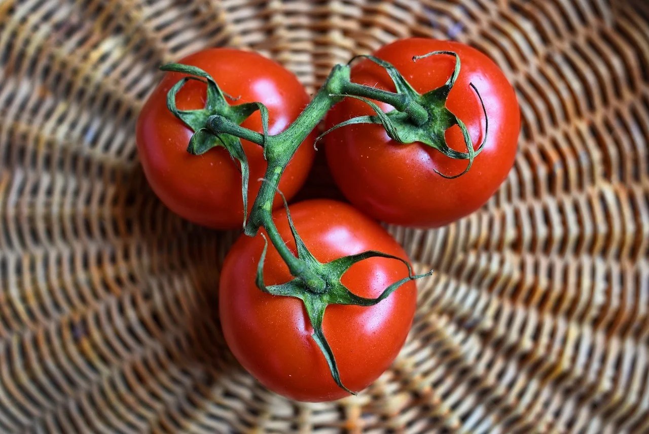 tomatoes, fruits, food