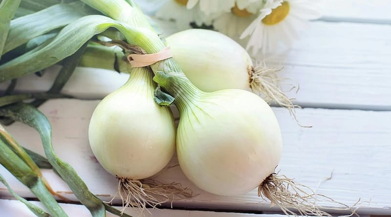 White Onions